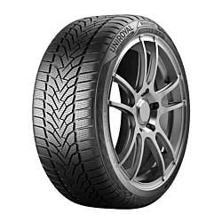Uniroyal Zimska guma 255/40R19 100V XL