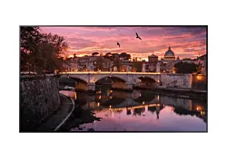Samsung Monitor LH65QBREBGCXEN 65"/LED/60Hz