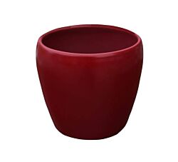 Kerbek Saksija Tarifa 15 cm - Bordo