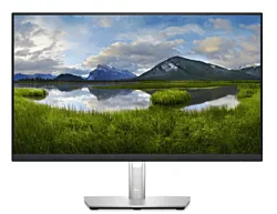 Dell Monitor P2423D 23,8" QHD/IPS/60 Hz