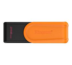 Kingston USB flash DTXS/256GB
