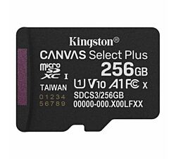 Kingston Memorijska kartica 256 GB SDCS3/256GBSP