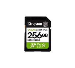 Kingston Memorijska kartica SDS3/256GB