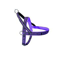 Camon Am za pse 80 cm, Ljubičasti A2201758