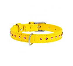 CLR WD Ogrlica za pse 9 mm/19-25 cm - Žuta A2202507