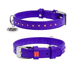 CLR WD Ogrlica za pse 12 mm/21-29 cm, Ljubičasta A2202517