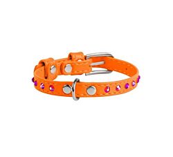 CLR WD Ogrlica za pse 30–39 cm - Narandžasta A2202532