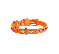 CLR WD Ogrlica za pse 38-49 cm - Narandžasta A2202541