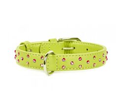 CLR WD Ogrlica za pse 38-49 cm - Zelena A2202543