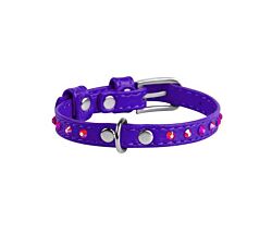 CLR WD Ogrlica za pse 38-49 cm - Ljubičasta A2202546