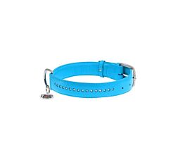 CLR WD Ogrlica za pse 38-49 cm - Plava A2202549