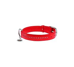 CLR WD Ogrlica za pse 38-49 cm - Crvena A2202550