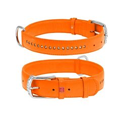 CLR WD Ogrlica za pse 38-49 cm - Narandžasta A2202551