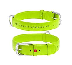 CLR WD Ogrlica za pse 38-49 cm - Zelena A2202552