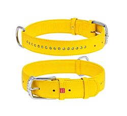 CLR WD Ogrlica za pse 38-49 cm - Žuta A2202554