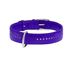CLR WD Ogrlica za pse 38-49 cm - Ljubičasta A2202556