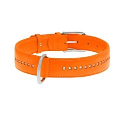 CLR WD Ogrlica za pse 46-60 cm - Narandžasta A2202561