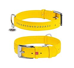 CLR WD Ogrlica za pse 46-60 cm - Žuta A2202566