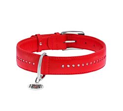 CLR WD Ogrlica za pse 27–36 cm - Crvena A2202572