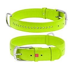 CLR WD Ogrlica za pse 27–36 cm - Zelena A2202574