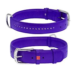 CLR WD Ogrlica za pse 27–36 cm - Ljubičasta A2202578