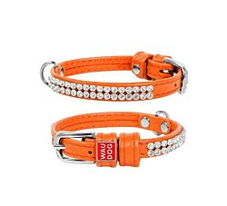 CLR WD Ogrlica za pse 21-29 cm - Narandžasta A2202594