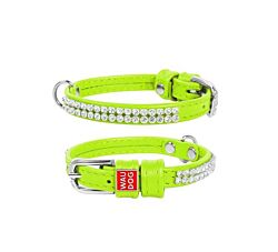 CLR WD Ogrlica za pse 18-21 cm - Zelena A2202605