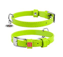 CLR WD Ogrlica za pse 27-36 cm - Zelena A2202621