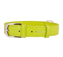 CLR WD Ogrlica za pse 19-25 cm - Zelena A2202626
