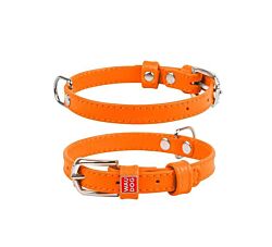 CLR WD Ogrlica za pse 27-36 cm - Narandžasta A2202635