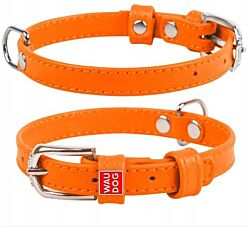 CLR WD Ogrlica za pse  19-25 cm - Narandžasta A2202640