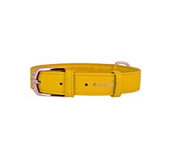 CLR WD Ogrlica za pse  19-25 cm - Žuta A2202675