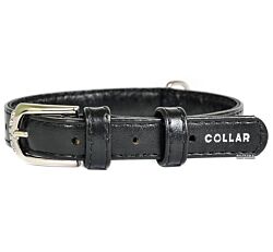 CLR WD Ogrlica za pse 19-25 cm - Crna A2202696