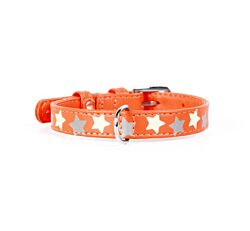 CLR WD Ogrlica za pse 21-29 cm - Narandžasta A2202709