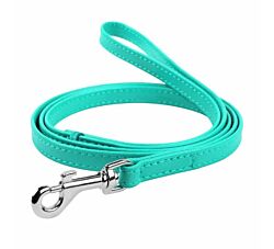 CLR WD Povodac za pse 12mm / 122cm - Mint A2202740