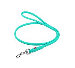 CLR WD Povodac za pse 4 mm x 122 cm- Mint A2202794